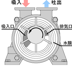 ポンプの構造・原理 説明図