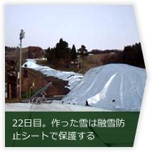 22日目。作った雪は融雪防止シートで保護する